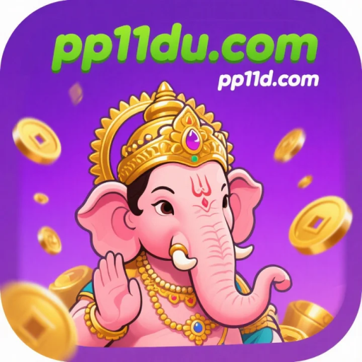 pp11d.com